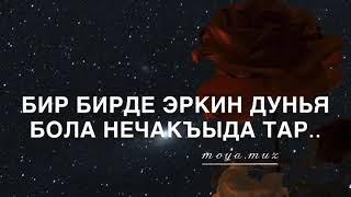 Сакинат Алиева - ЯШАВ️