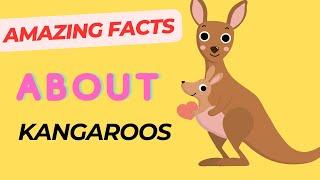 Fun Facts about Kangaroos| Interesting Facts about Kangaroos