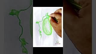 Easy Bottle gourd Drawing Tricks || How to draw gourd || Easy gourd draw || Step by step gourd draw