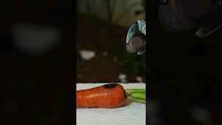 Test iron 1000 degrees with carrots #experiment #shorts @IronBallvds