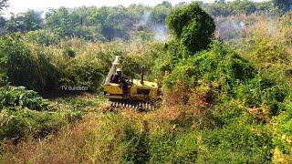 Techniques Skills Clearing Forest & Landfill By Operator Skills Dozer Clearing Pushing & 5Ton Truck