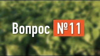 Вопрос №11. Подготовка почвы перед посевом газона