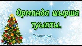 Орманда шырша туыпты. Балалар әні.