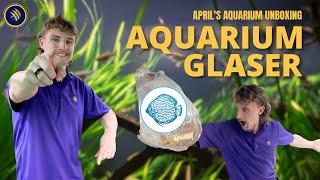 Unboxing New Arrivals: Glasser shipment at April's Aquarium