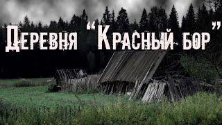 Деревня КРАСНЫЙ БОР. Страшные истории. Мистика. Ужасы