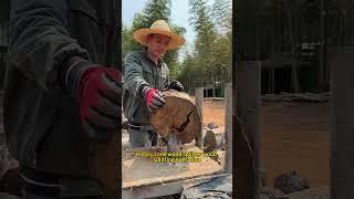 Rotary cone wood splitter wood splitting operation