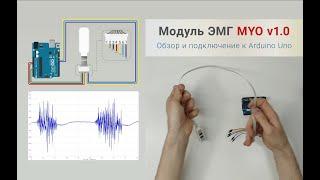 Обзор модуля ЭМГ (датчика мышц) MYO v1.0. Подключение к Arduino.