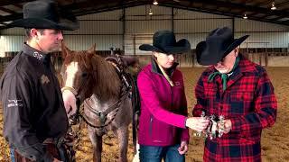 The Selection and Use of Performance Horse Spurs