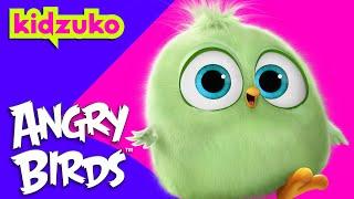 The Hatchings Save the Baby Eggs 🪺 | Angry Birds 2 | Best Bits! | @Kidzuko