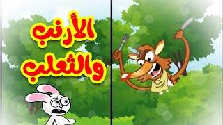 الأرنب والثعلب - قناة بيبي الفضائية | Toyor Baby Channel