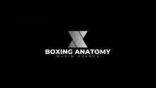 Boxing Anatomy Intro