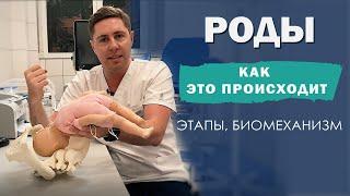 Биомеханизм РОДОВ | КАК это происходит | 7 ЭТАПОВ | головное предлежание плода