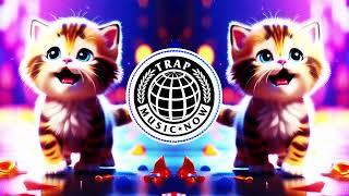 MEOW MEOW MEME SONG (OFFICIAL DRILL TRAP REMIX) TIK TOK - NOA