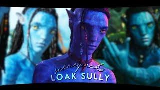 Loak Sully(Avatar: the way of water) scenepack | logoless + 4k + mega link +with & without twixtor