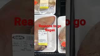 Reasons to go Vegan #ptsd #sobriety #nami #vanlife #baca  #bipolar #americanspyfox #bakedsalmon