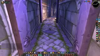 Anthion's Old Friend, WoW Classic / WoW SoD Quest