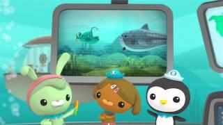 Creature Report - The Octonauts