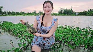 Bắt dính con cá kỳ lạ khu rau muống ngày mưa dầm | TNTP T246 - Fish trap on rainy day