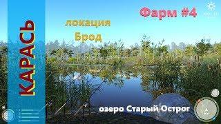 Русская рыбалка 4 - озеро Старый Острог - Фарм карасей #4