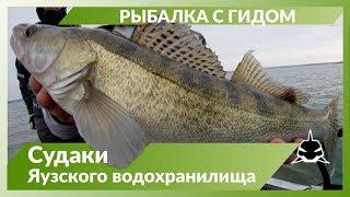 Рыбалка с гидом на Яузском водохранилище. Рыбалка осень 2019