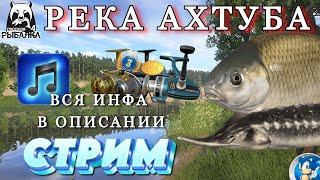 РЕКА АХТУБАБУФФАЛО, СЕВРЮГА И ДРУГАЯ РЫБАРусская Рыбалка 4(РР4)