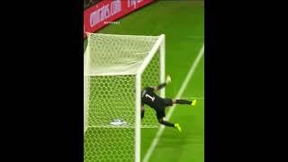 Impossible Goalkeeper Saves 