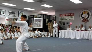 Tae Kwon-Do White Belt Test