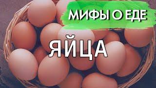 Мифы о яйцах | Сколько яиц в день употреблять не вредно