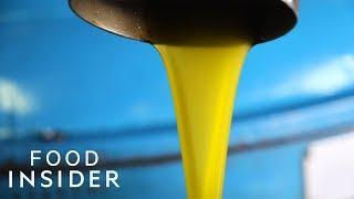 How Traditional Italian Olive Oil Is Made | Regional Eats