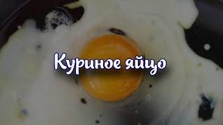 Куриное яйцо - Химический состав