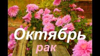 РАК&Cancer. Энергия Октября&OctoberТаро-гороскоп от 𝒯𝒶𝓉𝓎𝒶𝓃𝒶𝒯𝒶𝓇𝑜