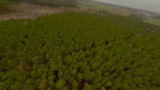 KIEROWCA WYLECIAŁ PRZEZ OKNO!!! *Zobacz jak* | Dron FPV | Wasky FPV