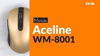 Распаковка мыши Aceline WM-8001 / Unboxing Aceline WM-8001