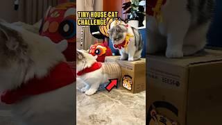 This Cat Tried to Fit in a Bottle House ️