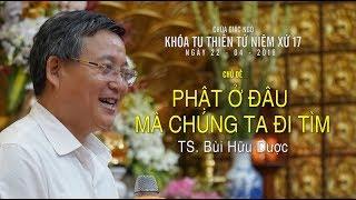 Phật ở đâu mà chúng ta đi tìm - TS. Bùi Hữu Dược