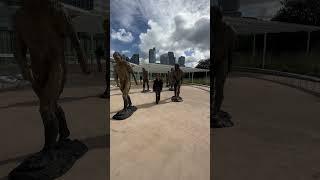 Art gallery NSW #art #story #human #love #nature #advancer #energ  # #freemind #lifestyle #outdoor