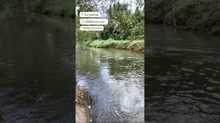 Suriyawewa  