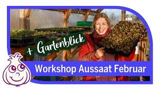 Aussaaten Ende Februar | kleiner Rundgang  & Workshop Teil 7