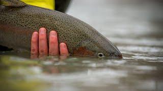 Fly Fishing vs. Spin Fishing Explained