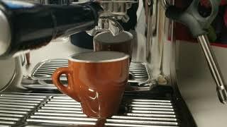 Barista Breville Pro