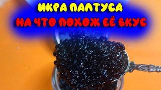 Икра палтуса  На что похожа по вкусу и почему она черная