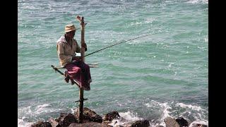 斯里蘭卡絕無僅有的「高蹺捕魚」The Last of the Stilt Fishers in Sri Lanka