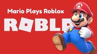 Mario Meets Roblox