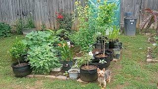 Make Today Great, People [Outdoor Garden Update]! (6/14/25)