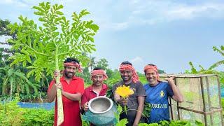 আজ আবারো অটোন পেতে, চিংড়ি মাছ ধরে,ওলের ডাটা দিয়ে মায়ের হাতে চচ্চড়ি খেলাম!!!