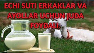 ЭЧКИ СУТИ АЁЛУ ЭРКАККА БИРДЕК ФОЙДАЛИ. | ECHKI SUTI AYOL VA ERKAKKA BIRDEK FOYDALI