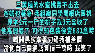 三舅種的水蜜桃賣不出去，爸媽也著急 我組織同學開網店賣桃，原本2元一斤的桃子我3元全收了，三舅高興壞了 可得知包裝後賣88一盒時 瞬間黑臉拿著刀逼我補差價，當他自己開網店負債千萬時 我笑了#小說#爽文