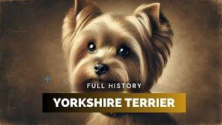 Yorkshire Terrier - Full History