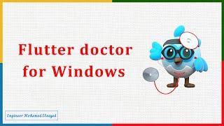 Step Five: Flutter Doctor (windows)