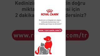 Web sitemizden İdeal Besleme Miktarı Hesaplayıcısı’nı hemen keşfedin.  #RoyalCaninTR